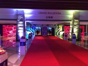 廣州慶典策劃公司 專業(yè)舞龍舞獅禮儀與開業(yè)慶典布置、燈光音響租賃一站式服務(wù)